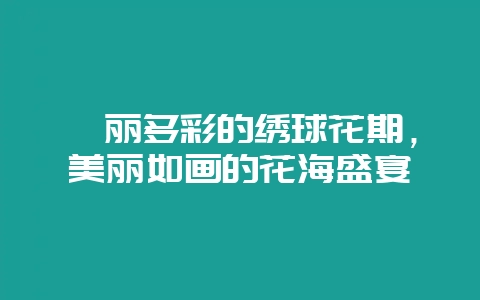 绚丽多彩的绣球花期，美丽如画的花海盛宴-会东网