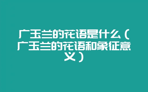 广玉兰的花语是什么（广玉兰的花语和象征意义）-会东网