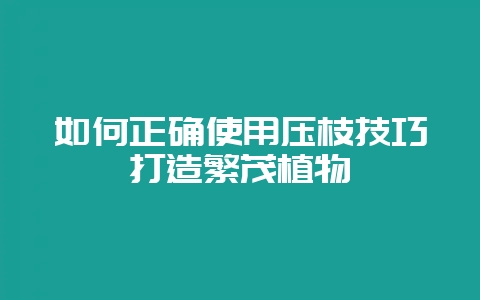 如何正确使用压枝技巧打造繁茂植物-会东网