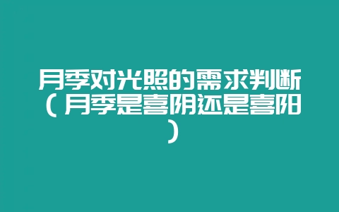 月季对光照的需求判断(月季是喜阴还是喜阳)-会东网