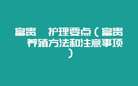 富贵蕨护理要点（富贵蕨养殖方法和注意事项）-会东网