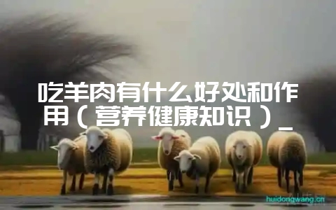 吃羊肉有什么好处和作用(营养健康知识)_-会东网