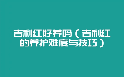 吉利红好养吗(吉利红的养护难度与技巧)-会东网