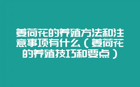 姜荷花的养殖方法和注意事项有什么（姜荷花的养殖技巧和要点）-会东网