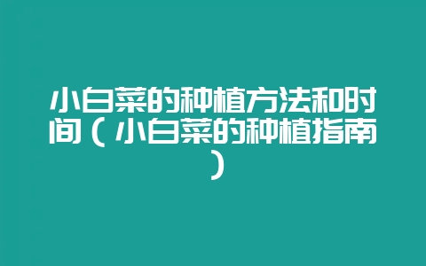 小白菜的种植方法和时间（小白菜的种植指南）-会东网