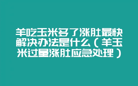 羊吃玉米多了涨肚最快解决办法是什么(羊玉米过量涨肚应急处理)-会东网