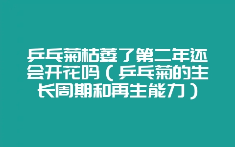 乒乓菊枯萎了第二年还会开花吗（乒乓菊的生长周期和再生能力）-会东网