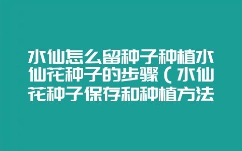 水仙怎么留种子种植水仙花种子的步骤(水仙花种子保存和种植方法插图 水仙怎么留种子种植水仙花种子的步骤(水仙花种子保存和种植方法插图