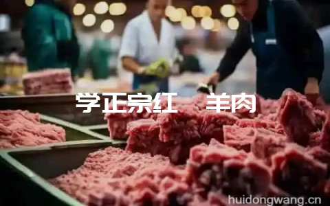 学正宗红焖羊肉-会东网