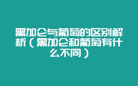 黑加仑与葡萄的区别解析(黑加仑和葡萄有什么不同)-会东网