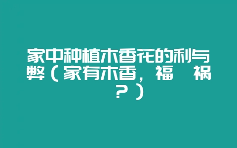 家中种植木香花的利与弊(家有木香,福兮祸兮?)-会东网