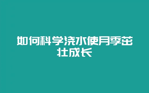 如何科学浇水使月季茁壮成长-会东网