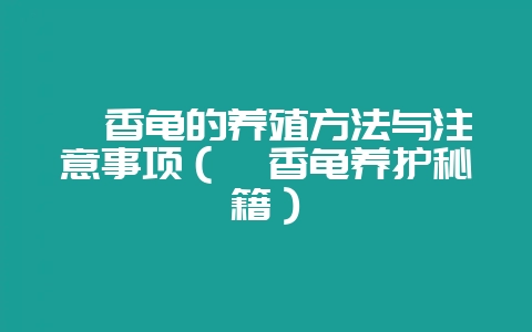 麝香龟的养殖方法与注意事项(麝香龟养护秘籍)-会东网