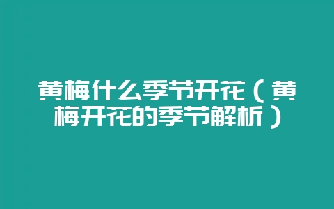 黄梅什么季节开花（黄梅开花的季节解析）-会东网