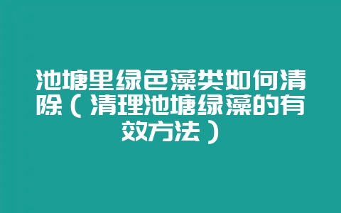 池塘里绿色藻类如何清除（清理池塘绿藻的有效方法）-会东网