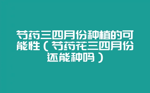 芍药三四月份种植的可能性(芍药花三四月份还能种吗)-会东网