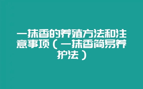 一抹香的养殖方法和注意事项（一抹香简易养护法）-会东网