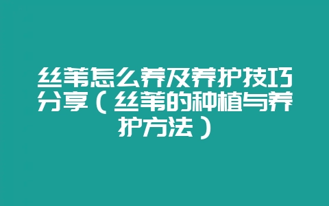 丝苇怎么养及养护技巧分享(丝苇的种植与养护方法)-会东网
