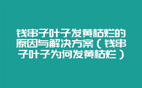 钱串子叶子发黄枯烂的原因与解决方案（钱串子叶子为何发黄枯烂）-会东网