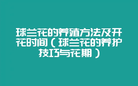 球兰花的养殖方法及开花时间(球兰花的养护技巧与花期)-会东网