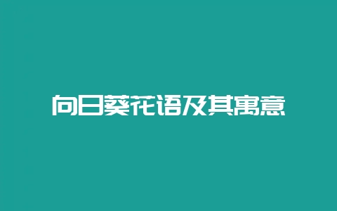 向日葵花语及其寓意-会东网