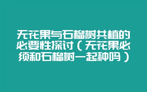 无花果与石榴树共植的必要性探讨(无花果必须和石榴树一起种吗)插图 无花果与石榴树共植的必要性探讨(无花果必须和石榴树一起种吗)插图