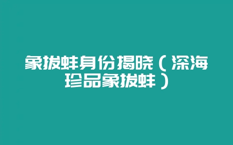象拔蚌身份揭晓(深海珍品象拔蚌)-会东网
