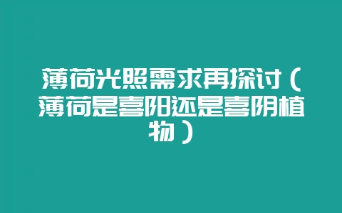 薄荷光照需求再探讨（薄荷是喜阳还是喜阴植物）-会东网