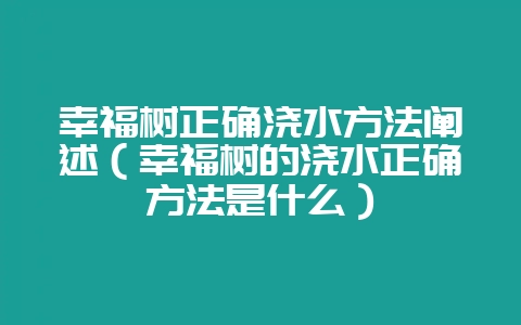 幸福树正确浇水方法阐述（幸福树的浇水正确方法是什么）-会东网