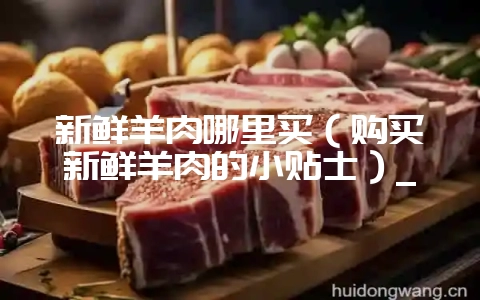 新鲜羊肉哪里买(购买新鲜羊肉的小贴士)_-会东网