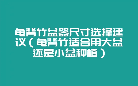 龟背竹盆器尺寸选择建议(龟背竹适合用大盆还是小盆种植)-会东网