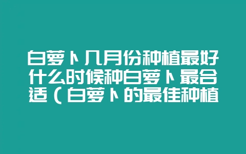 白萝卜几月份种植最好什么时候种白萝卜最合适（白萝卜的最佳种植-会东网