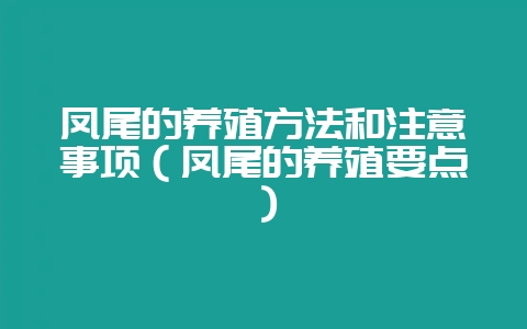 凤尾的养殖方法和注意事项（凤尾的养殖要点）-会东网