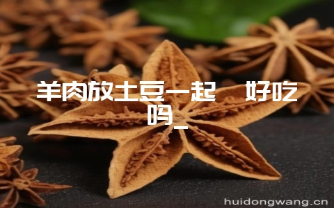 羊肉放土豆一起炖好吃吗_-会东网