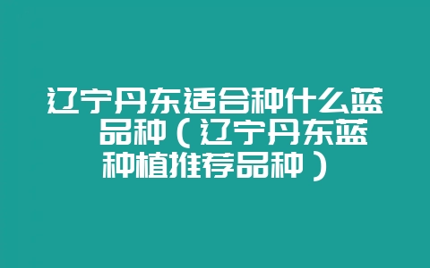 辽宁丹东适合种什么蓝莓品种（辽宁丹东蓝莓种植推荐品种）-会东网