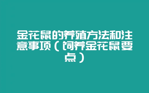 金花鼠的养殖方法和注意事项(饲养金花鼠要点)-会东网