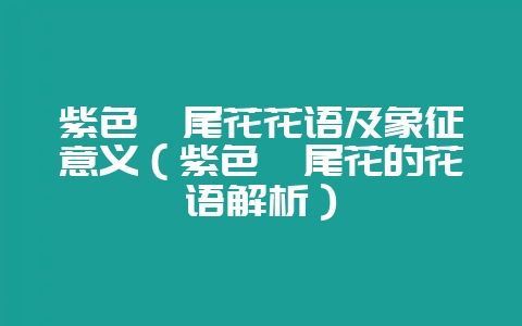 紫色鸢尾花花语及象征意义(紫色鸢尾花的花语解析)-会东网
