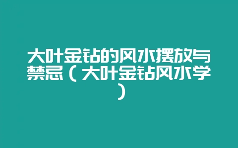 大叶金钻的风水摆放与禁忌(大叶金钻风水学)-会东网