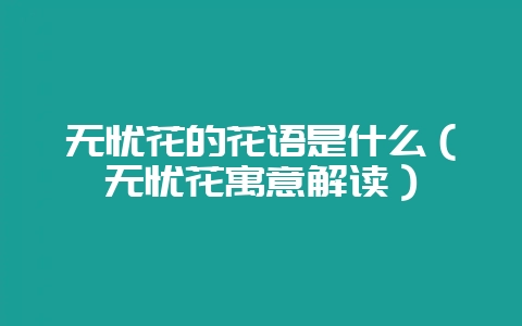 无忧花的花语是什么（无忧花寓意解读）-会东网