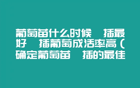 葡萄苗什么时候扦插最好扦插葡萄成活率高（确定葡萄苗扦插的最佳-会东网