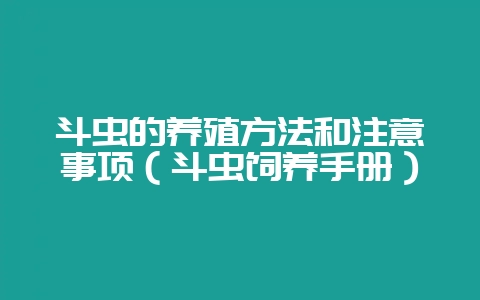 斗虫的养殖方法和注意事项(斗虫饲养手册)-会东网
