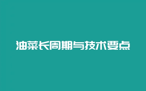 油菜长周期与技术要点-会东网