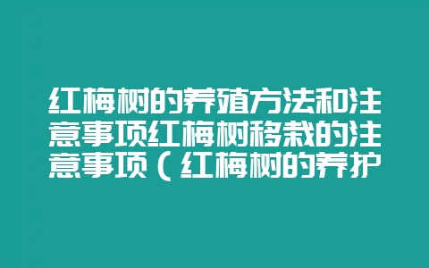 红梅树的养殖方法和注意事项红梅树移栽的注意事项(红梅树的养护-会东网