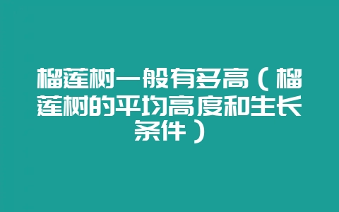 榴莲树一般有多高（榴莲树的平均高度和生长条件）-会东网