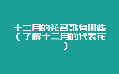 十二月的花名歌有哪些（了解十二月的代表花卉）-会东网