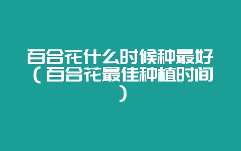 百合花什么时候种最好（百合花最佳种植时间）-会东网