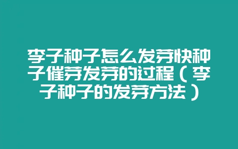 李子种子怎么发芽快种子催芽发芽的过程(李子种子的发芽方法)插图 李子种子怎么发芽快种子催芽发芽的过程(李子种子的发芽方法)插图