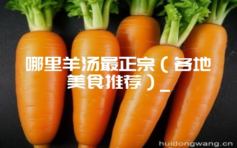 哪里羊汤最正宗(各地美食推荐)_-会东网