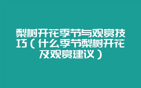 梨树开花季节与观赏技巧（什么季节梨树开花及观赏建议）-会东网
