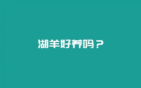 湖羊好养吗?插图 湖羊好养吗?插图